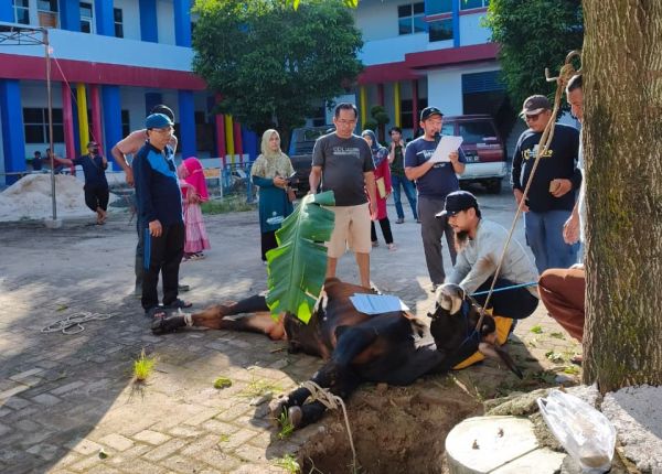 Fakultas Teknik Laksanakan Kurban, Wujud Syukur dan Kepedulian Sosial